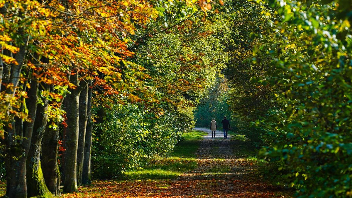 Twee mensen die samen wandelen op een bospad in de herfst